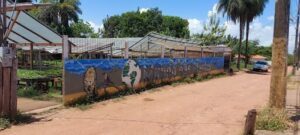 Mundo das Plantas