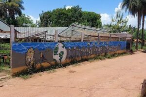 Mundo das Plantas