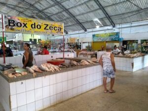 Municipal Market In Icoaraci