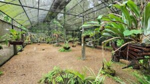 MUSA - Museu da Amazônia