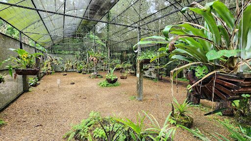 MUSA - Museu da Amazônia