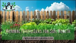 natural fertilizers for soil health