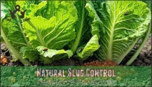 natural slug control