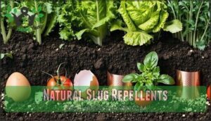 natural slug repellents