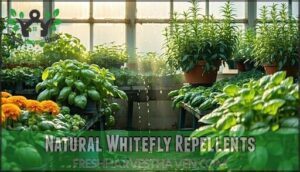 natural whitefly repellents