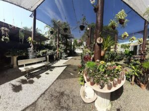 Nova Hydrokultura Empresa de paisagismo