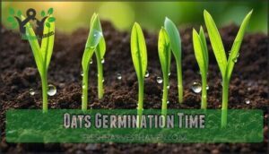 oats germination time