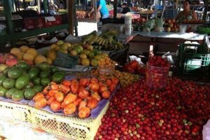 Oitizeiro Public Market
