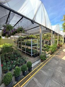 Olinda Garden