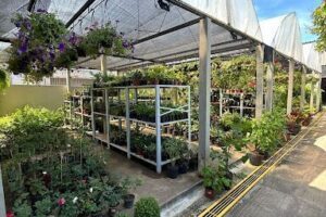 Olinda Garden