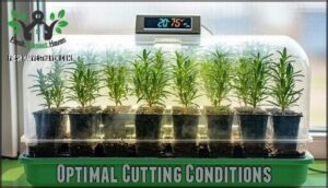 optimal cutting conditions