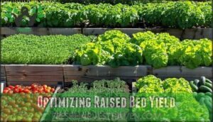 optimizing raised bed yield
