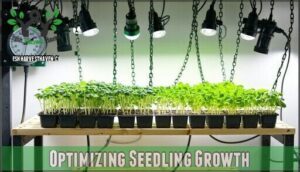 optimizing seedling growth