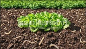 organic mulch benefits