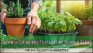 overwintering and propagating summer herbs