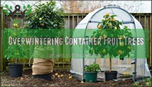 overwintering container fruit trees