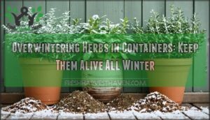overwintering herbs in containers