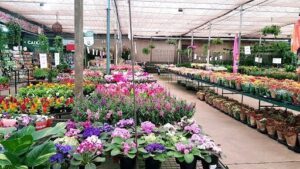 Pantanal Garden Center