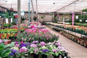 Pantanal Garden Center