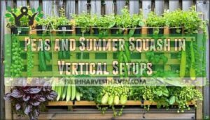 peas and summer squash in vertical setups