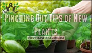 pinching out tips of new plants