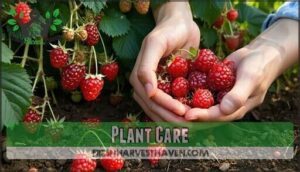 plant care