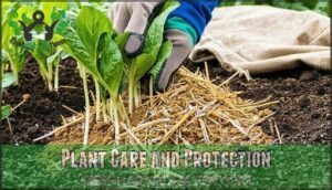 plant care and protection