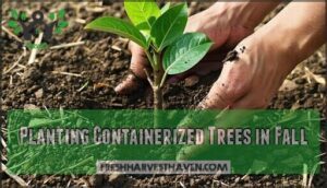 planting containerized trees in fall
