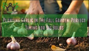 planting garlic in the fall garden