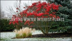 planting winter interest plants