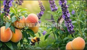pollination requirements