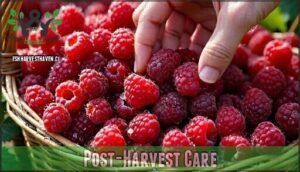post-harvest care