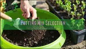 potting mix selection