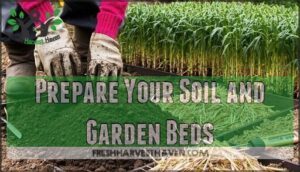 prepare your soil and garden beds