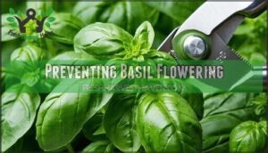preventing basil flowering