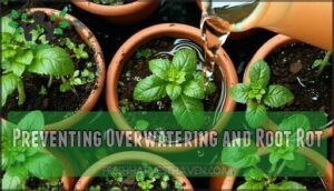 preventing overwatering and root rot
