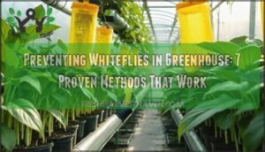 preventing whiteflies in greenhouse