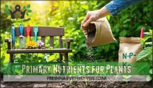 primary nutrients for plants