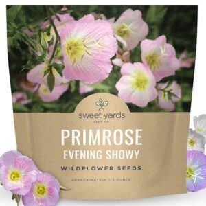 Primrose Evening Showy Large B0DHL79SN8