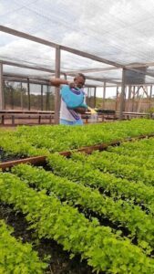 Projeto Semeando Vida - Instituto EcoVida