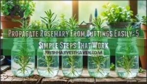 propagate rosemary from cuttings easily