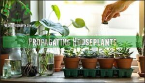 propagating houseplants