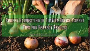proper harvesting of flower bulbs