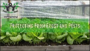 protecting from frost and pests
