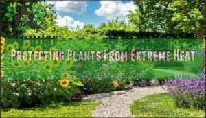 protecting plants from extreme heat