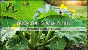 protecting squash plants