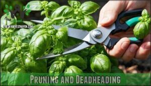 pruning and deadheading