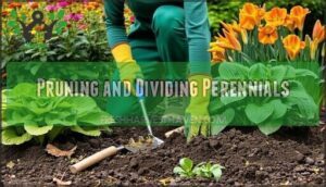 pruning and dividing perennials