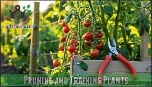 pruning and training plants