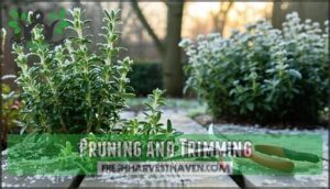 pruning and trimming